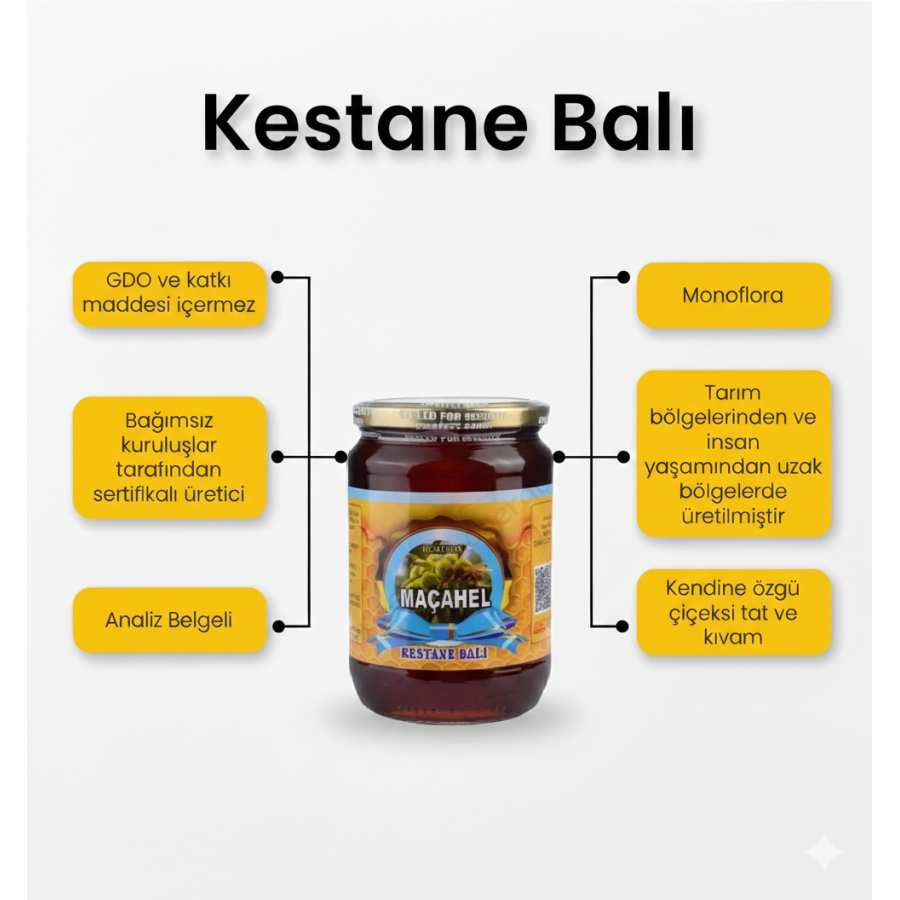 3'lü Avantajlı Bal Seti | Kestane, Karakovan, Çam Balı (3.2 kg)